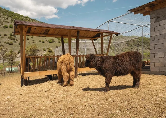 Mentor Гайтаниново